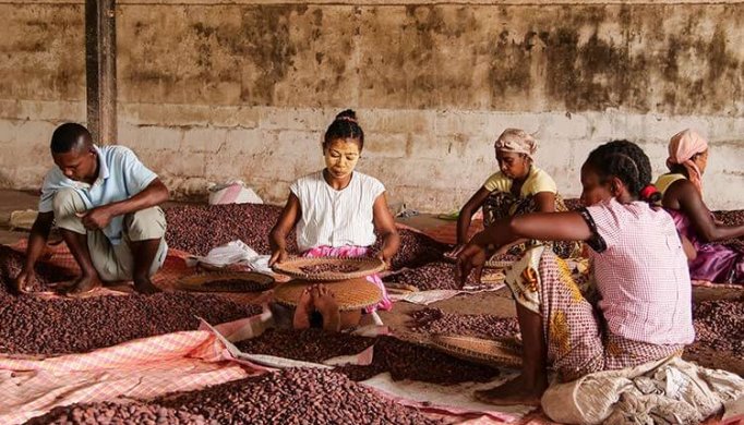 Äthiopien Kakao Herstellung
